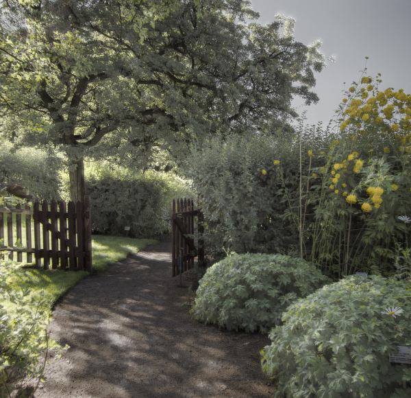 Den hemmelige Hagen - The Secret Garden